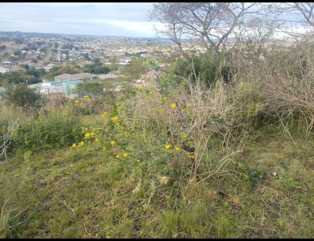 LAND FOR SALE IN NGWELEZANA